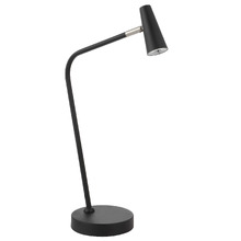 Alaura Iron Desk Lamp